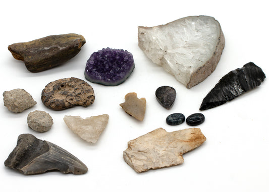 14pc. FOSSIL, ARTIFACT Hobbyist Lot