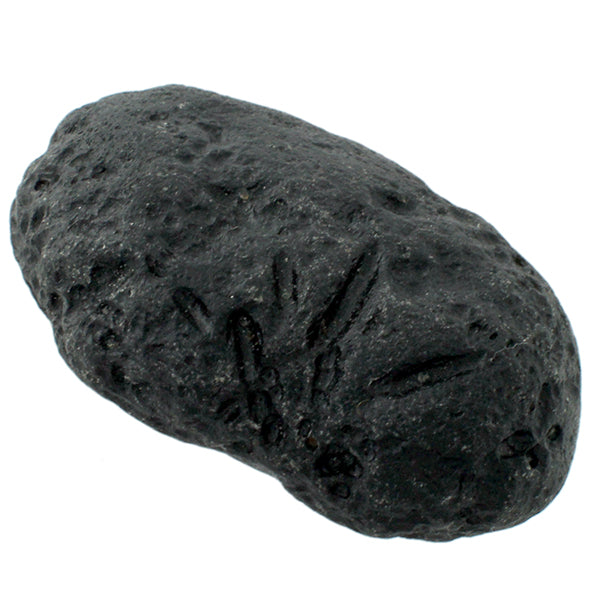 Rare Tektite Specimen: Glass From Meteorite Impact