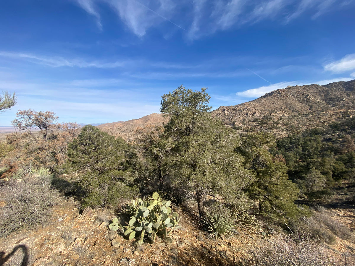 Parcel 57 Eagle Ridge Ranches 51.33 Acres
