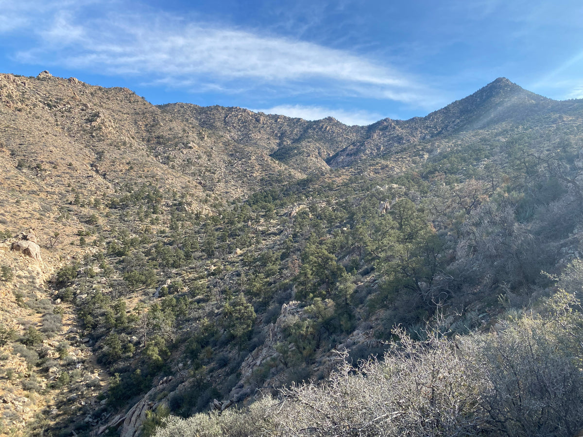 Parcel 80 Eagle Ridge Ranches 45.98ac