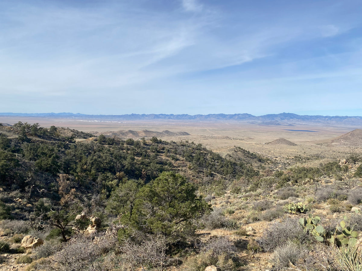 Parcel 58 Eagle Ridge Ranches 45.78 acres