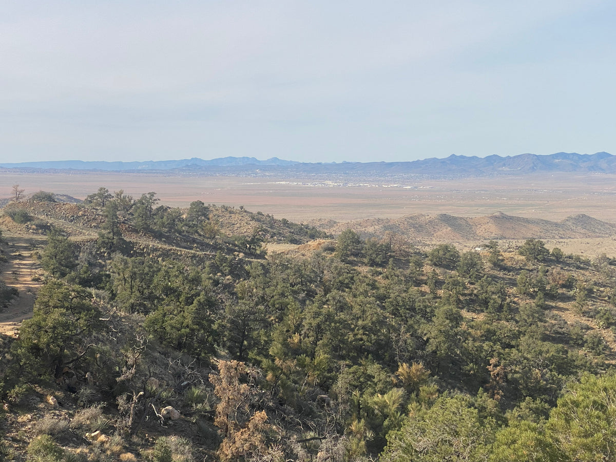 Parcel 198 Eagle Ridge Ranches 37.40 acres