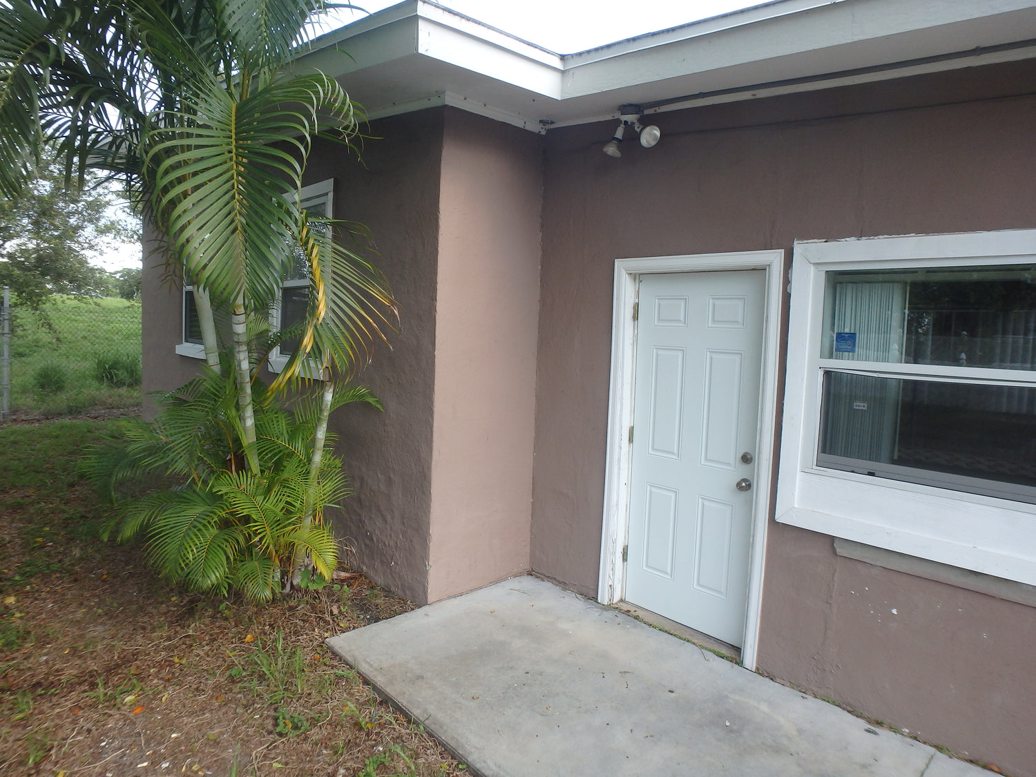 Collections America's Auction Channel