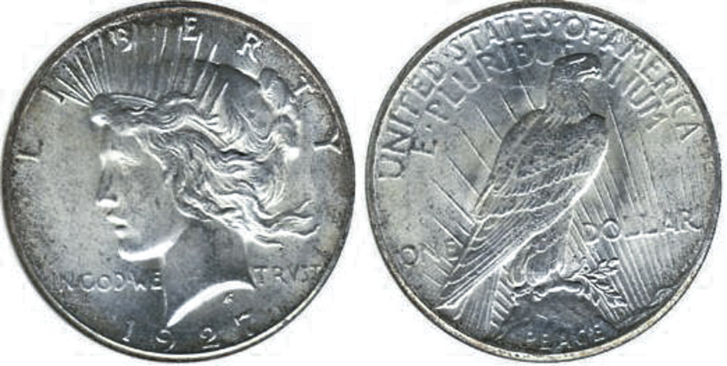 1927-P Philadelphia Mount Rushmore $1 Silver Peace Dollar w/ Case