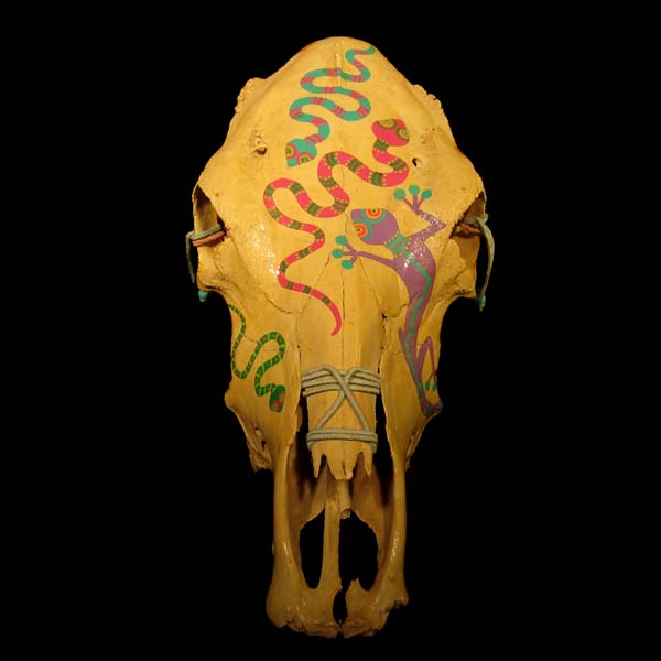 Unique Hand Painted Bull skull by Texas Artist Tichenor