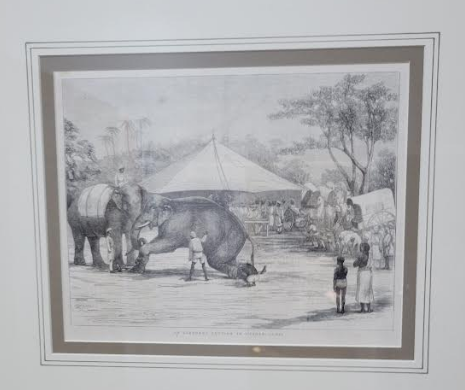 Vintage 1875 The etching titled An Elephant Auction in Mysore, India by G.R. Ashton