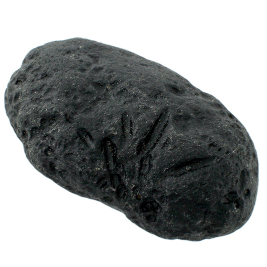 Rare Tektite Specimen: Glass From Meteorite Impact