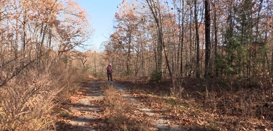 Vac Lot 0.26 ac Lot 2 Quanusee Dr