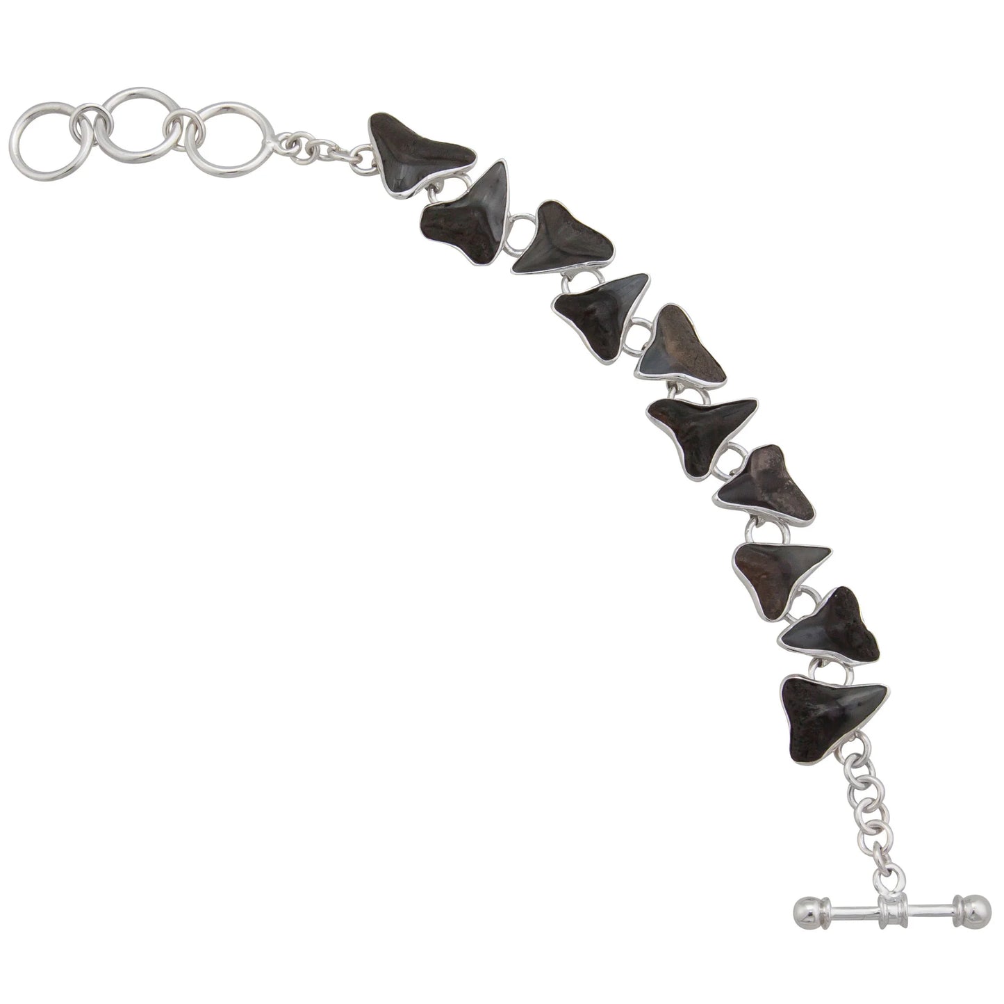 Sterling Silver Fossil Shark Teeth Bracelet