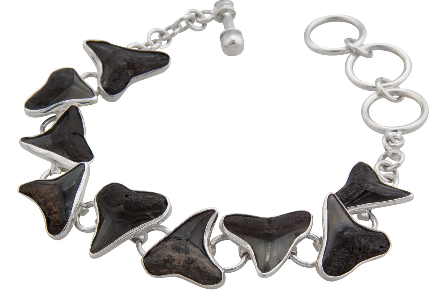 Sterling Silver Fossil Shark Teeth Bracelet