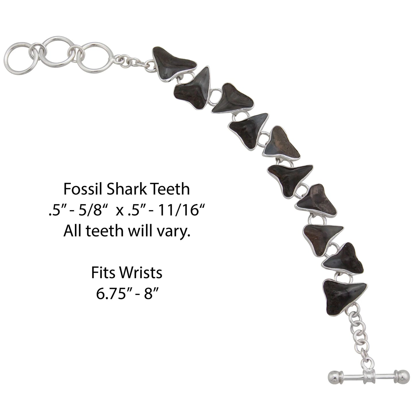 Sterling Silver Fossil Shark Teeth Bracelet