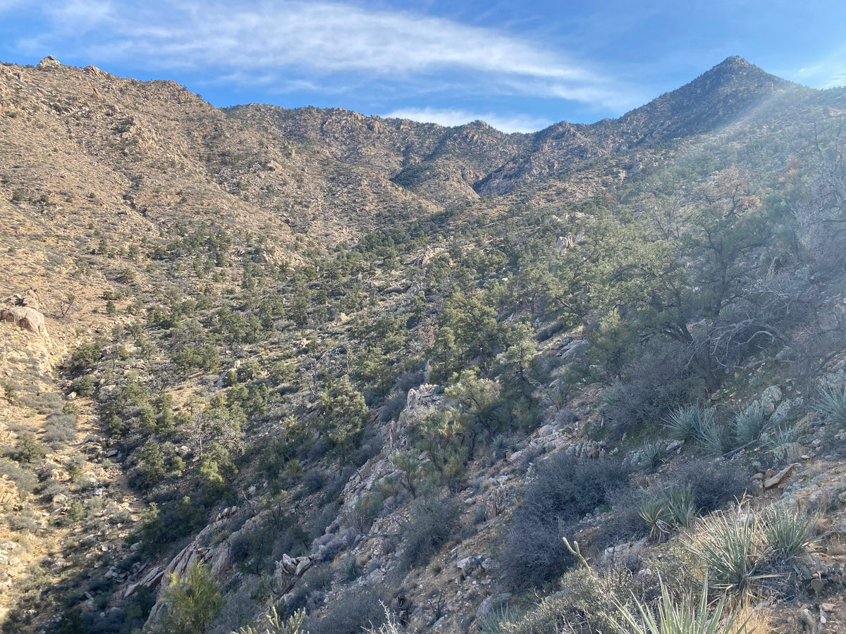 Parcel 72 Eagle Ridge Ranches 45.07ac