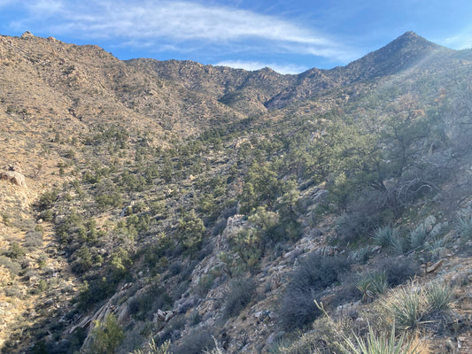 Parcel 72 Eagle Ridge Ranches 45.07ac