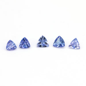 1.10ctw Tanzanite Trillion Loose Stone Parcel